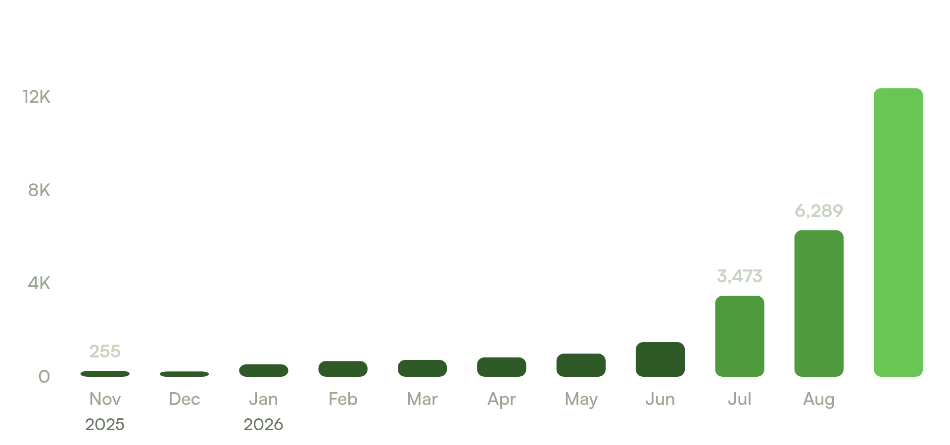 seo results